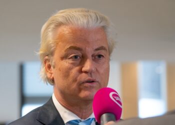 Geert Wilders maakt BN’er met de grond gelijk: ‘Veroordeelde bajesklant’
