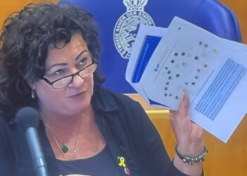 Onderzoeker: Heeft Caroline van der Plas (BBB) banden met de Israëlische overheid?