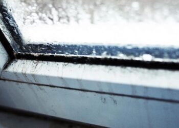 Zo houd je thuis de luchtvochtigheid op peil deze winter