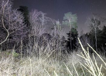 Schokkende visioenen van Britse voorspeller werpen duister licht op komende maanden van 2025