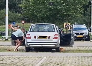 Vrouw pakt zwerfvervuilers aan en gooit troep terug in hun voertuig op McDonald’s-parkeerplaats
