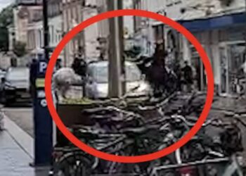 Schokkende beelden uit Den Bosch – man rijdt vol gas in op politiepaarden