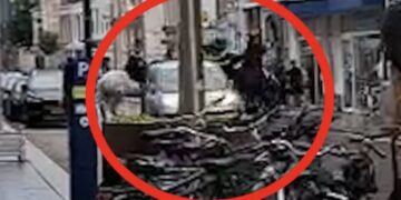 Schokkende beelden uit Den Bosch – man rijdt vol gas in op politiepaarden