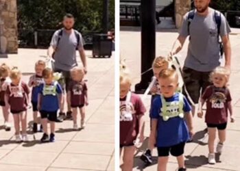 Mensen zijn woedend zodra ze de vader met zijn vijf kinderen aan een tuigje zien – maar wanneer een opvoedexpert haar mening geeft, blijkt die verrassend duidelijk … en totaal onverwacht!