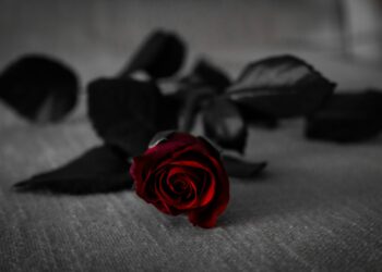 Bekende The Voice-deelnemer (29) in slaap overleden op vakantie