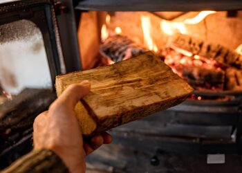 Longartsen luiden de noodklok: dit is waarom houtkachels zó schadelijk zijn