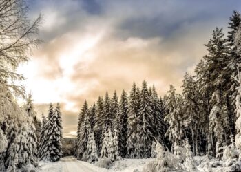 Koude winter op komst? Nee hoor, voorlopig blijft het heerlijk zacht