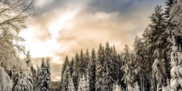 Koude winter op komst? Nee hoor, voorlopig blijft het heerlijk zacht