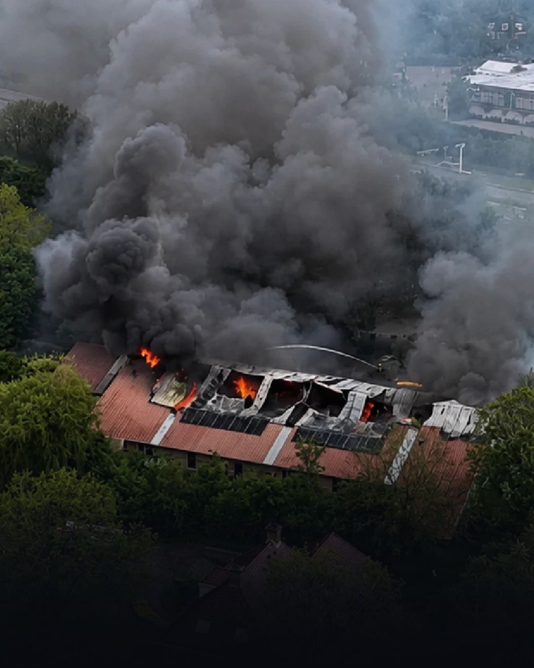 Grote brand in Nederlandse dierentuin: meerdere dieren overleden