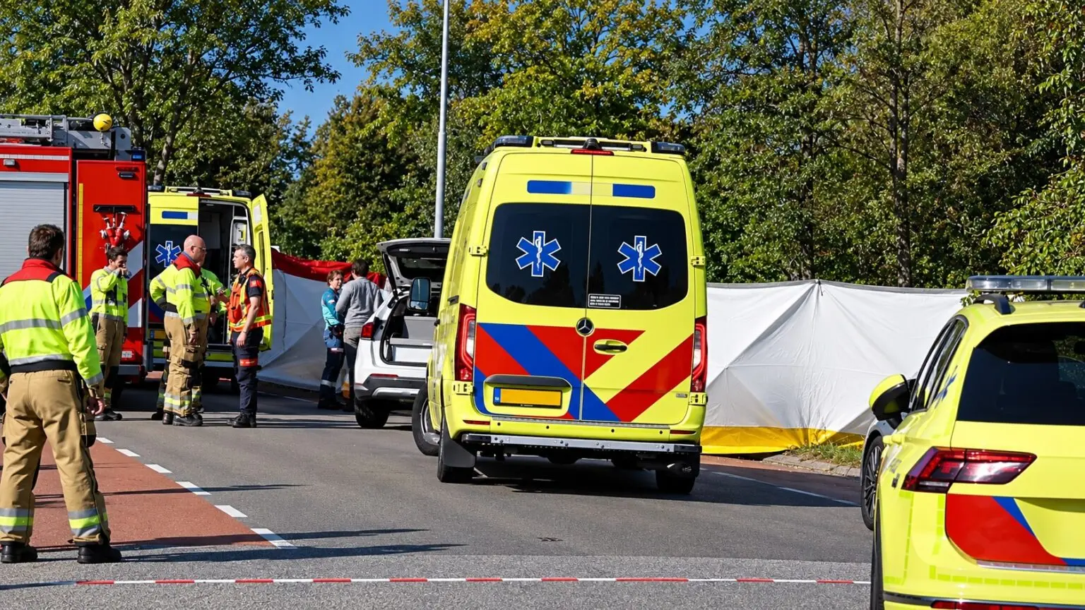 Verschrikkelijk: motorrijder overleden na crash tegen boom